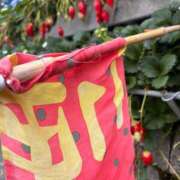 ヒメ日記 2026/03/05 08:30 投稿 じゅん セクシーキャット 小田原店