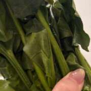 ヒメ日記 2026/03/26 21:42 投稿 じゅん セクシーキャット 小田原店