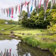 ヒメ日記 2026/04/25 07:54 投稿 じゅん セクシーキャット 小田原店