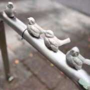 ヒメ日記 2026/04/25 22:03 投稿 じゅん セクシーキャット 小田原店