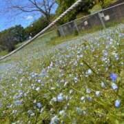 ヒメ日記 2026/05/02 07:59 投稿 じゅん セクシーキャット 小田原店