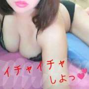 ヒメ日記 2025/04/10 17:52 投稿 わかな セクシーキャット 小田原店