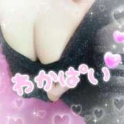 ヒメ日記 2025/05/12 16:00 投稿 わかな セクシーキャット 小田原店