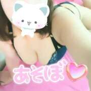 ヒメ日記 2025/05/19 16:00 投稿 わかな セクシーキャット 小田原店