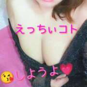 ヒメ日記 2025/08/11 16:00 投稿 わかな セクシーキャット 小田原店