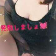 ヒメ日記 2025/09/08 16:00 投稿 わかな セクシーキャット 小田原店