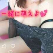 ヒメ日記 2025/10/24 15:00 投稿 わかな セクシーキャット 小田原店