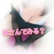 ヒメ日記 2025/11/28 15:00 投稿 わかな セクシーキャット 小田原店