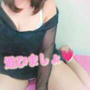 ヒメ日記 2025/12/02 15:00 投稿 わかな セクシーキャット 小田原店