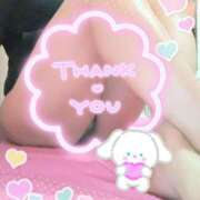 ヒメ日記 2026/03/31 03:34 投稿 わかな セクシーキャット 小田原店