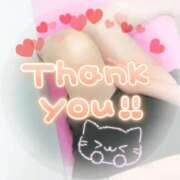 ヒメ日記 2026/04/11 03:05 投稿 わかな セクシーキャット 小田原店