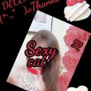 ヒメ日記 2024/12/12 23:37 投稿 愛 セクシーキャット 小田原店