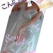 ヒメ日記 2024/12/15 12:39 投稿 愛 セクシーキャット 小田原店