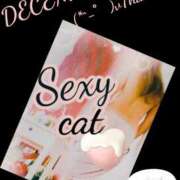 ヒメ日記 2024/12/15 23:43 投稿 愛 セクシーキャット 小田原店