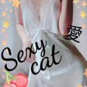 ヒメ日記 2024/12/22 13:44 投稿 愛 セクシーキャット 小田原店