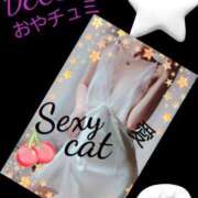 ヒメ日記 2024/12/23 00:27 投稿 愛 セクシーキャット 小田原店