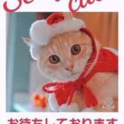 ヒメ日記 2024/12/24 12:06 投稿 愛 セクシーキャット 小田原店