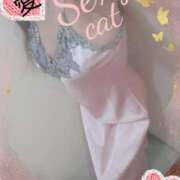 ヒメ日記 2024/12/27 16:15 投稿 愛 セクシーキャット 小田原店