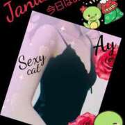 ヒメ日記 2025/01/04 23:55 投稿 愛 セクシーキャット 小田原店