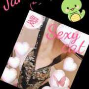 ヒメ日記 2025/01/05 22:50 投稿 愛 セクシーキャット 小田原店