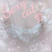 ヒメ日記 2025/01/09 13:53 投稿 愛 セクシーキャット 小田原店