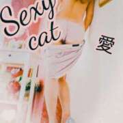 ヒメ日記 2025/01/16 19:38 投稿 愛 セクシーキャット 小田原店