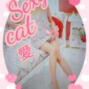 ヒメ日記 2025/01/19 13:32 投稿 愛 セクシーキャット 小田原店