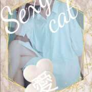 ヒメ日記 2025/01/23 21:25 投稿 愛 セクシーキャット 小田原店