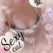 ヒメ日記 2025/01/25 23:33 投稿 愛 セクシーキャット 小田原店