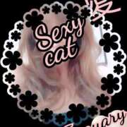 ヒメ日記 2025/01/30 12:46 投稿 愛 セクシーキャット 小田原店