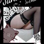 ヒメ日記 2025/01/31 01:09 投稿 愛 セクシーキャット 小田原店