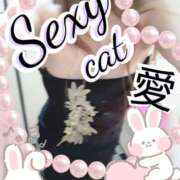 ヒメ日記 2025/02/01 11:46 投稿 愛 セクシーキャット 小田原店