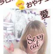 ヒメ日記 2025/02/14 22:02 投稿 愛 セクシーキャット 小田原店