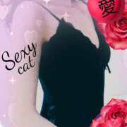 ヒメ日記 2025/02/15 17:15 投稿 愛 セクシーキャット 小田原店