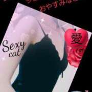 ヒメ日記 2025/02/15 23:27 投稿 愛 セクシーキャット 小田原店