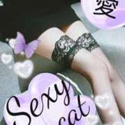 ヒメ日記 2025/02/16 22:18 投稿 愛 セクシーキャット 小田原店