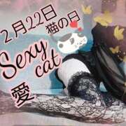 ヒメ日記 2025/02/22 08:46 投稿 愛 セクシーキャット 小田原店