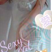 ヒメ日記 2025/02/22 21:41 投稿 愛 セクシーキャット 小田原店