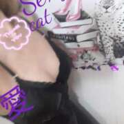 ヒメ日記 2025/02/24 21:49 投稿 愛 セクシーキャット 小田原店