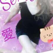 ヒメ日記 2025/02/25 13:43 投稿 愛 セクシーキャット 小田原店