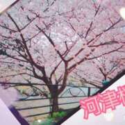 ヒメ日記 2025/03/06 11:55 投稿 愛 セクシーキャット 小田原店