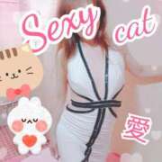 ヒメ日記 2025/03/08 10:46 投稿 愛 セクシーキャット 小田原店