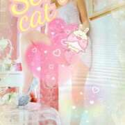 ヒメ日記 2025/03/14 12:15 投稿 愛 セクシーキャット 小田原店