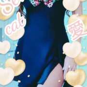 ヒメ日記 2025/03/20 16:45 投稿 愛 セクシーキャット 小田原店