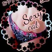 ヒメ日記 2025/03/20 21:58 投稿 愛 セクシーキャット 小田原店