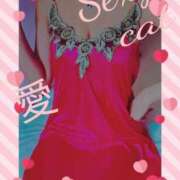 ヒメ日記 2025/03/21 13:51 投稿 愛 セクシーキャット 小田原店