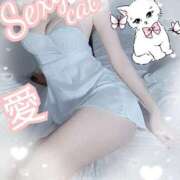 ヒメ日記 2025/03/22 11:09 投稿 愛 セクシーキャット 小田原店