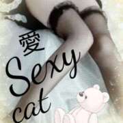 ヒメ日記 2025/04/04 09:16 投稿 愛 セクシーキャット 小田原店