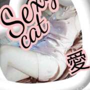 ヒメ日記 2025/04/04 23:25 投稿 愛 セクシーキャット 小田原店