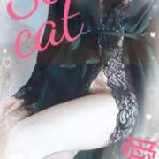 ヒメ日記 2025/04/05 22:26 投稿 愛 セクシーキャット 小田原店